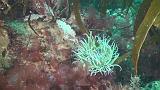 2011-06-15 16-58-55 UK_23